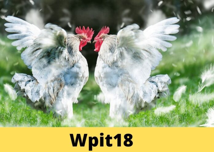 WPIT18