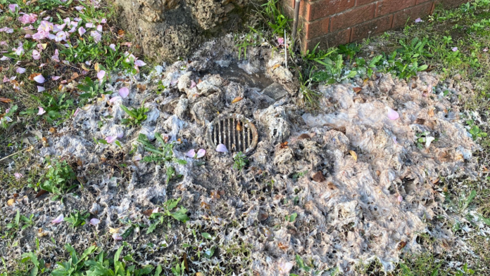 blocked sewer pipe
