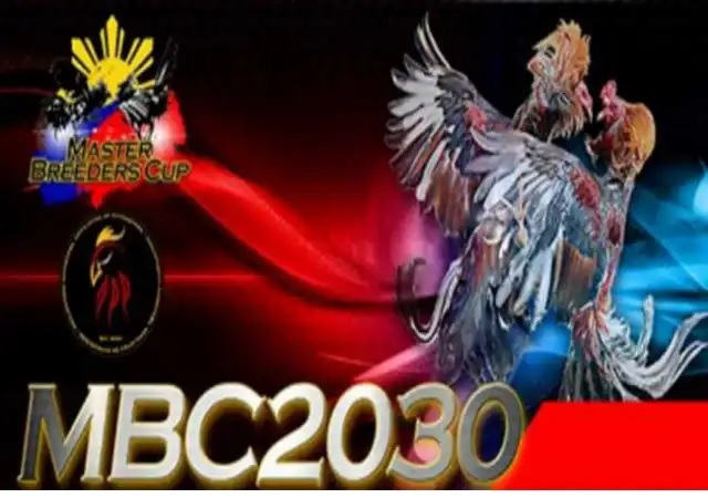 Mbc 2030 Live