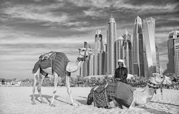 desert safari Dubai