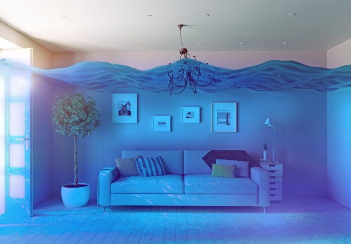 water damage repair