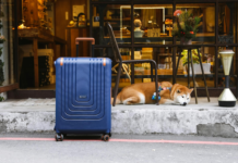 4 Situations You Will Need Pet Dog Boarding Services For