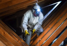 Keeping Homes Safe with Mold Removal Support in Arlington Heights